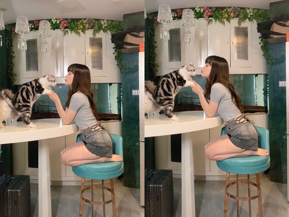 李小璐39岁还是少女，在家穿短裤和猫互动，嘟嘴亲猫好可爱