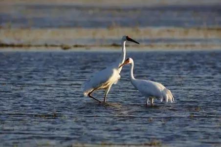 辽宁旅游景点推荐3天自由行,辽宁学生旅游景点推荐
