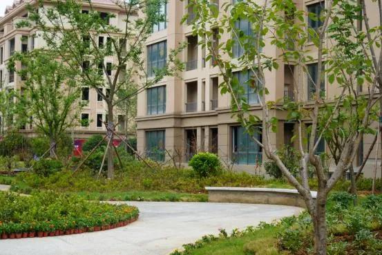 国宏立泰桂花园开发商,威海国宏立泰桂花园怎么样