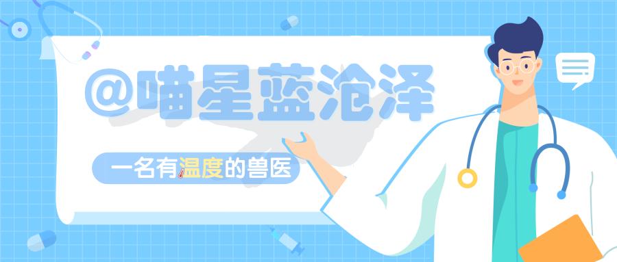 什么，乌龟居然也是保护动物？如何正确挑选一只美丽、安全的乌龟