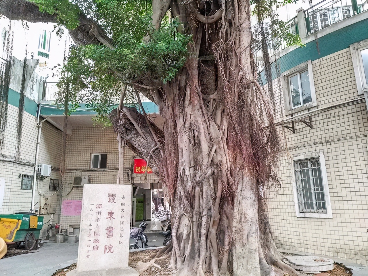 漳州有哪些祈福的寺庙,漳州市有个非常灵的寺庙