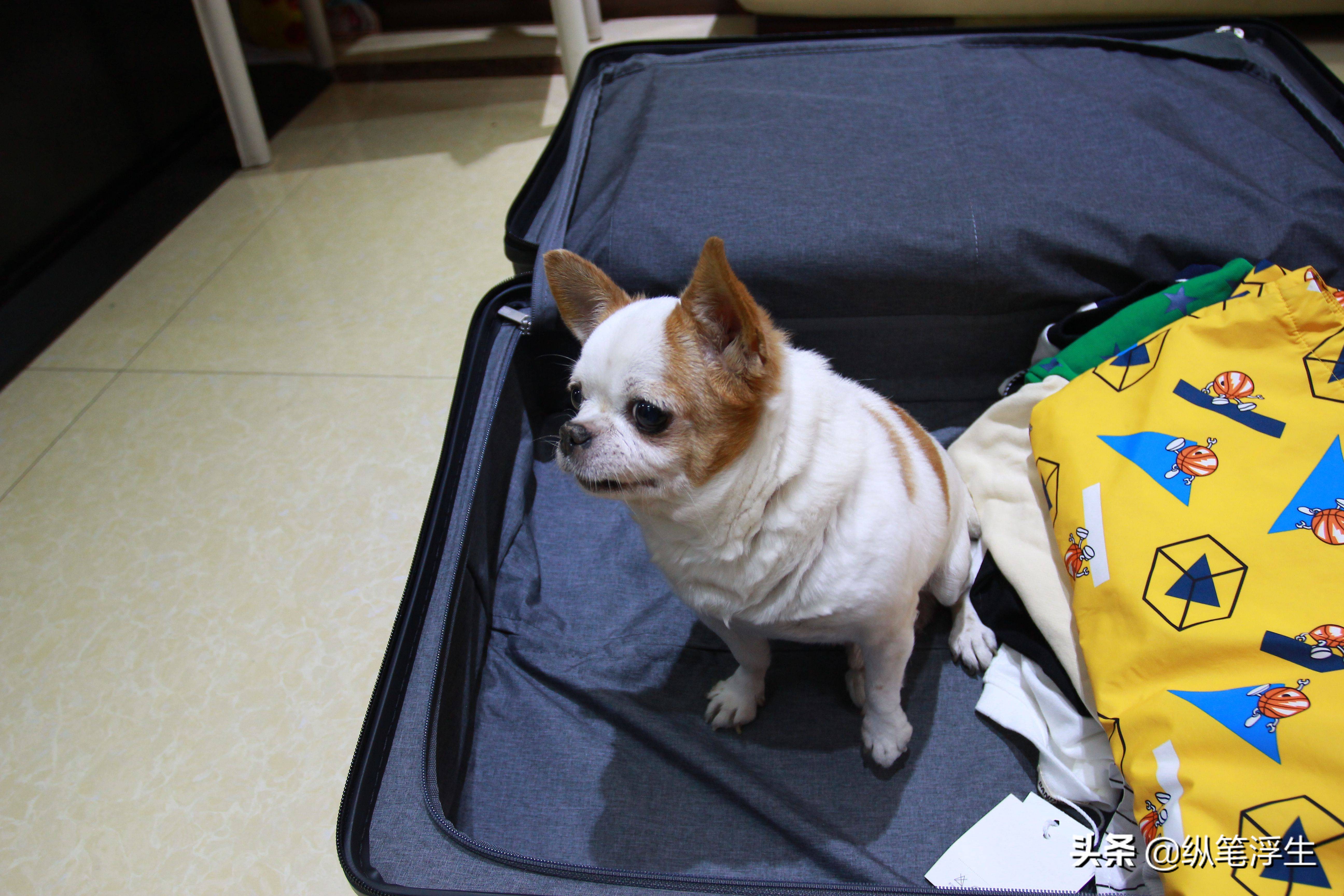 旅行箱超大容量推荐,大旅行家系列行李箱