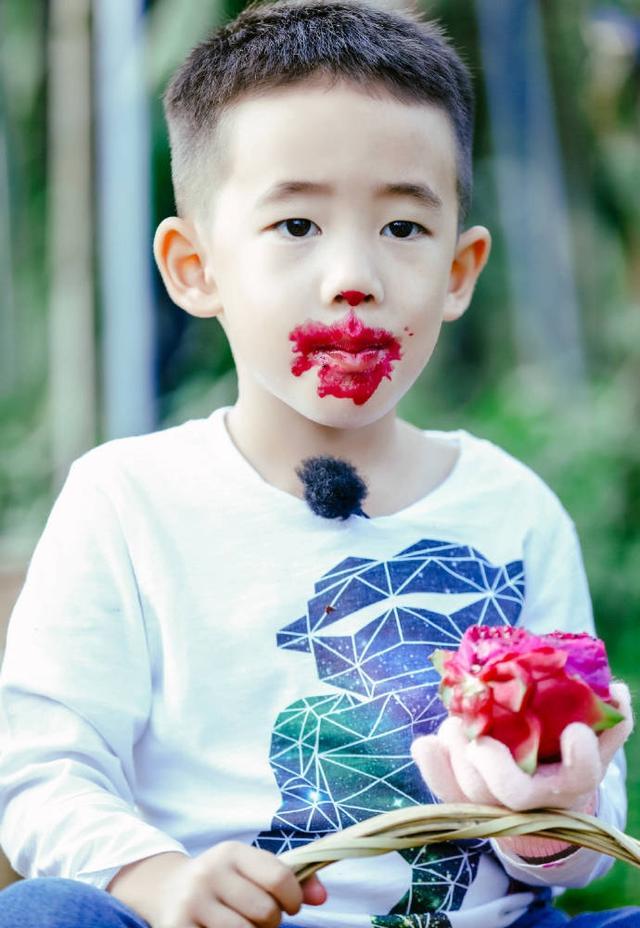 爸爸去哪儿石头天天,爸爸去哪儿石头康康