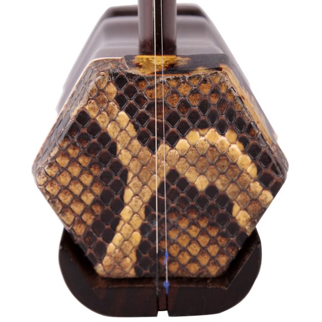 30公斤巨蟒进村吃200只鸡,巨蟒真实吞食野猪