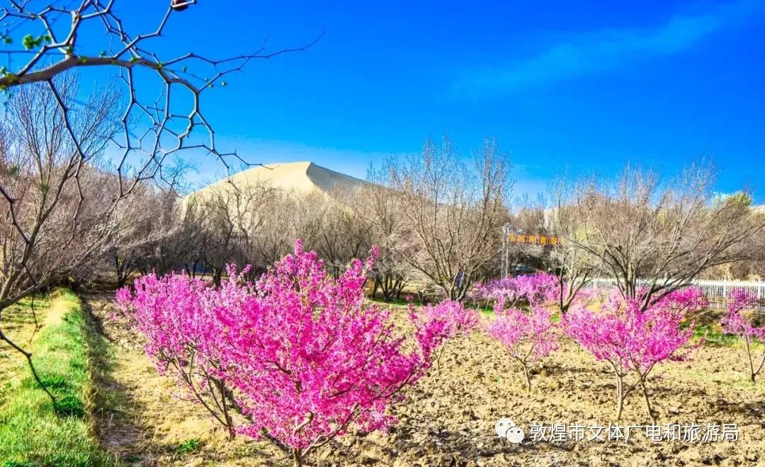 五一敦煌山庄,敦煌山庄风格
