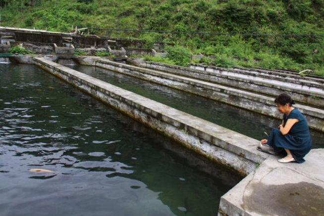 使用em菌发酵的肥料,使用em菌建立硝化系统