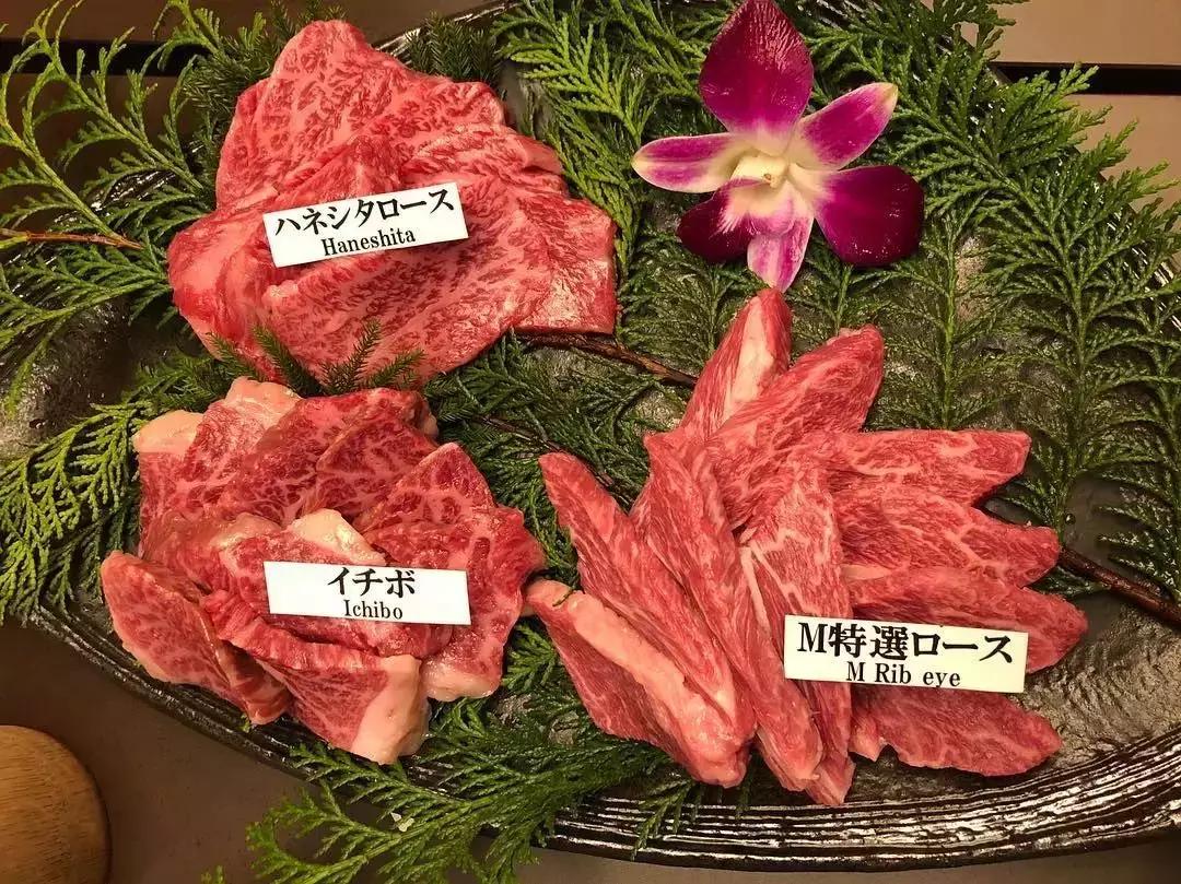 日本大阪美食攻略最新,大阪难波美食推荐