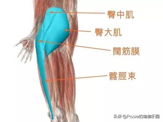 运动量过大腰疼怎么恢复,产后腰痛膝盖痛怎么锻炼