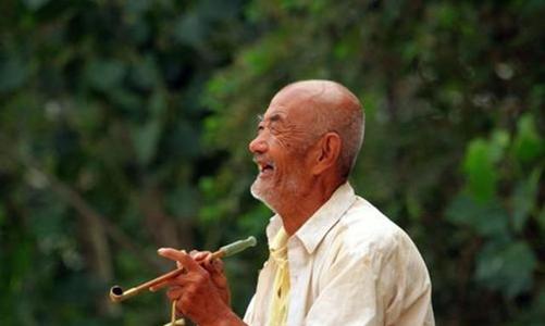 养鸟人10年后的感受,浅谈养鸟的生理与心理的护理