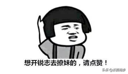 新车无人要却在二手车市场里风生水起——丰田锐志的怪异现象