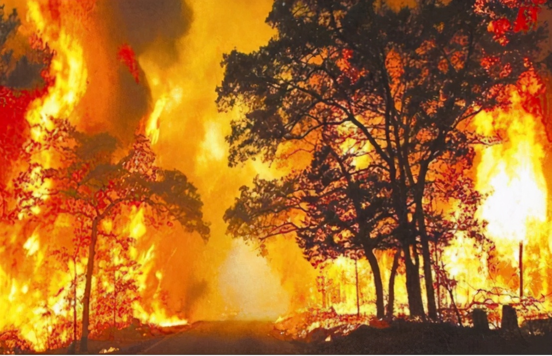 澳大利亚山火再次燃烧,火势已难以扑灭,祸根是4万年前留下的
