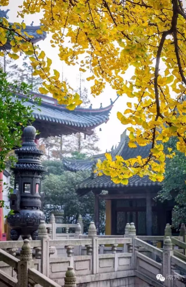 何必去远方原唱视频,何必去远方京都在左常熟在右