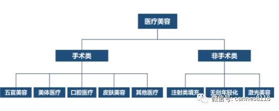 凯恩斯：「行业分析」医美行业大机会：让人变美的生意（附股）
