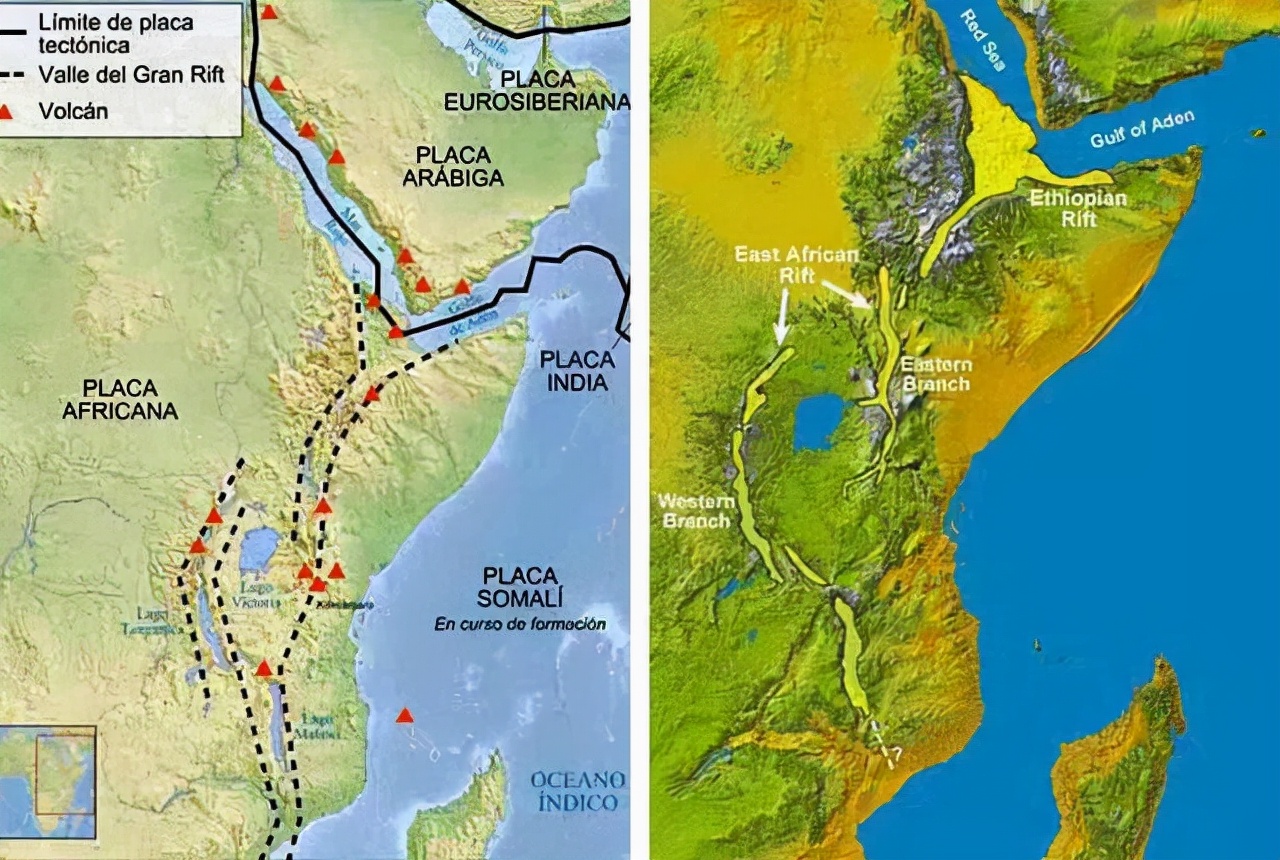 脱毛为啥？114万年前人类褪毛，只剩阴毛、头发等，究竟有啥用？