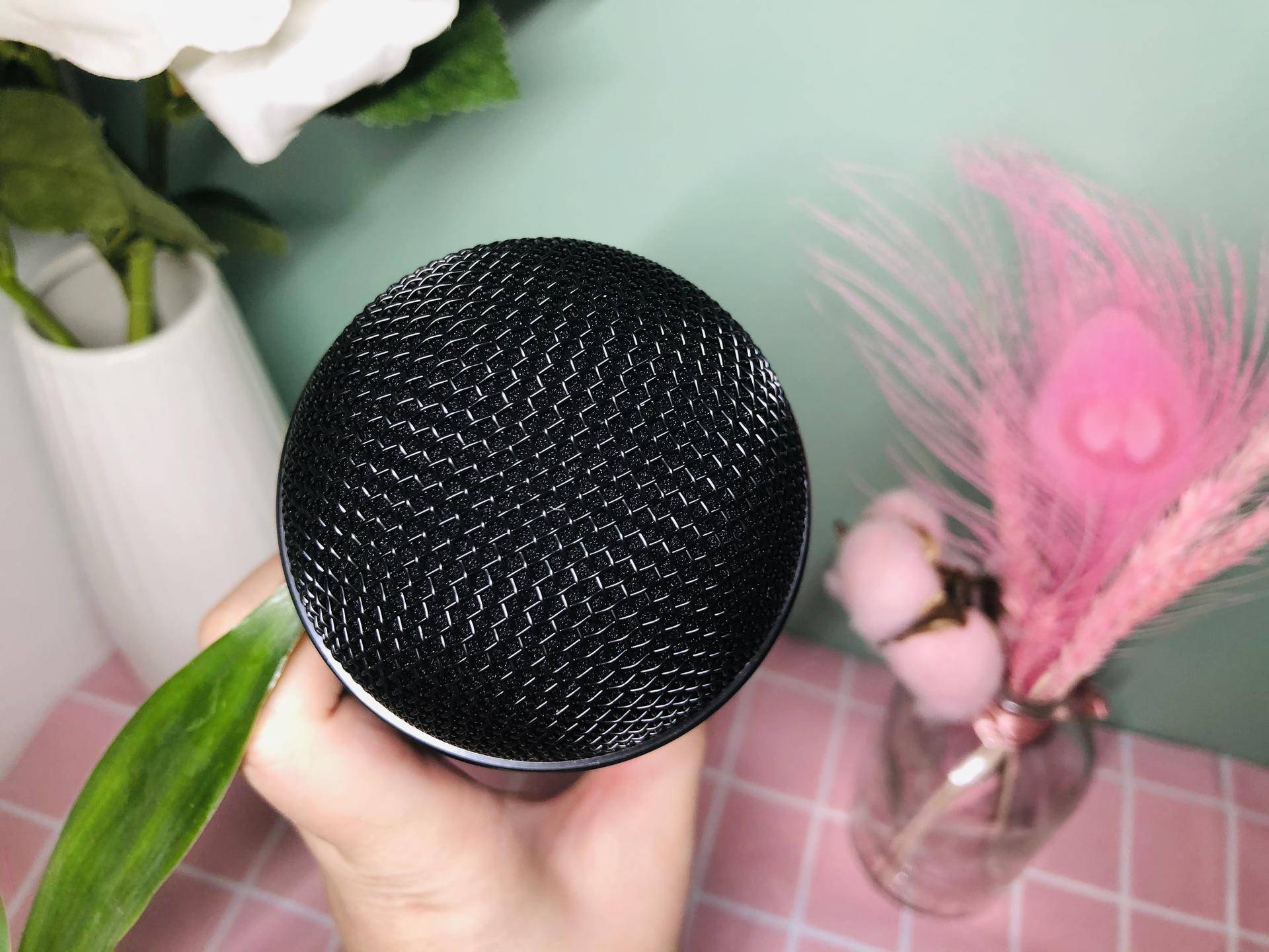 家用k歌麦克风李佳琦,李佳琦直播唱吧麦克风