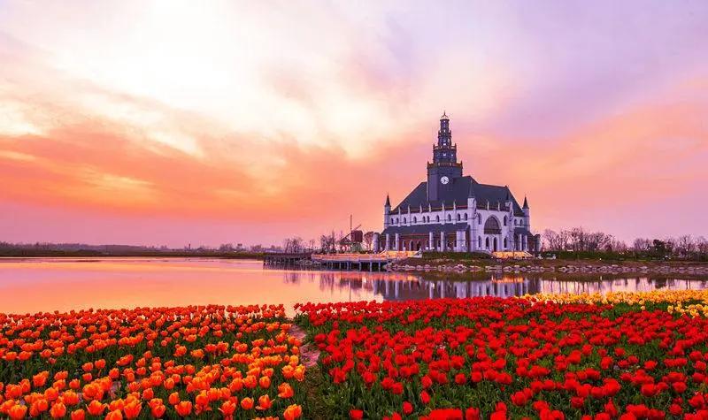 褰㈠鑽峰叞鑺辨捣,鎻忓啓鑽峰叞鑺辨捣鐨勮瘲