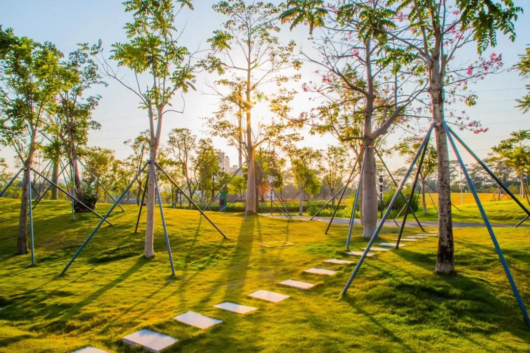 去深圳十大景点,到深圳必玩十大景区1天时间够吗