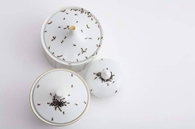 颜值高减肥餐具,适合减肥用的餐具套装