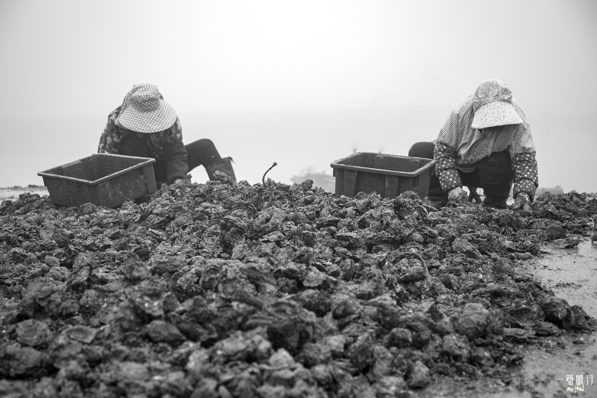 乳山为什么是长寿之乡,威海乳山市的海景房