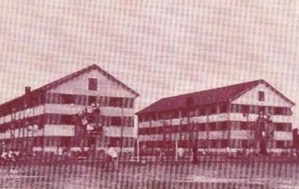 家乡童年趣事,家乡趣事大全视频