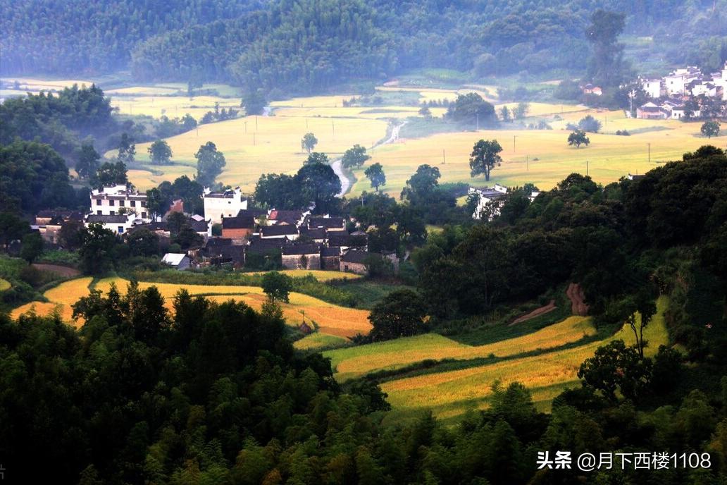 未来十年安徽有什么大的发展,未来的安徽发展