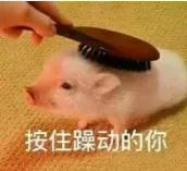 重庆旅游十大攻略自驾游,重庆周边城市三日自驾游最佳攻略