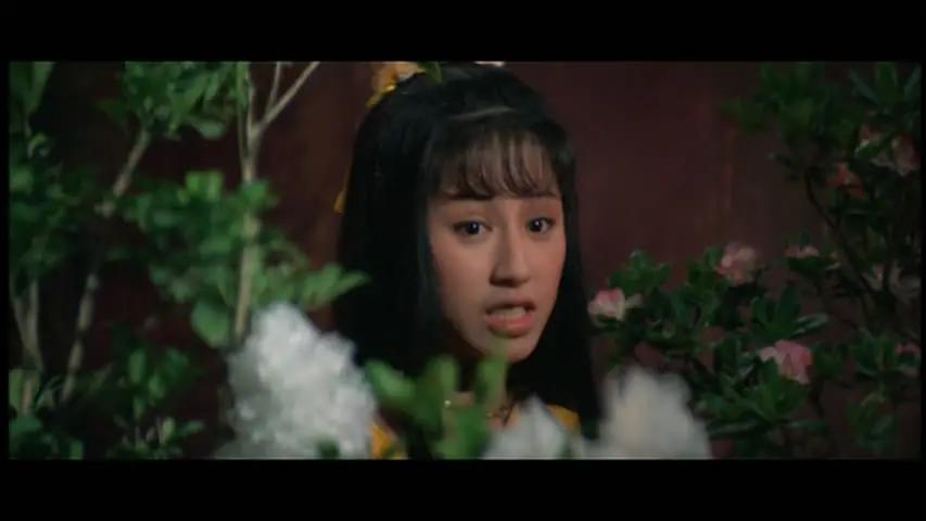 龙形十八翻邵氏经典武侠电影,邵氏武侠经典电影七十二煞星