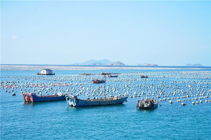 嵊泗美食推荐攻略,嵊泗列岛旅游攻略美食