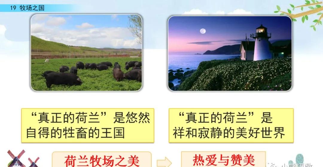 五下语文第19课牧场之国预习笔记,部编版五年级语文下册19牧场之国