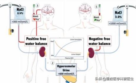 肾脏一旦发生损伤就没什么能力了,肾脏一旦损伤就没有什么能力了