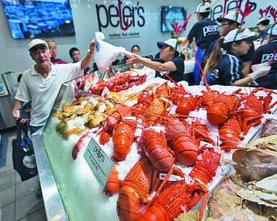 拿澳洲pr后大家都在做什么工作,拿到澳洲pr的第一件事