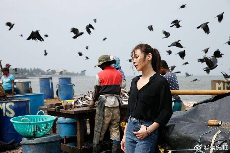 盘点蔡健雅抄袭的歌曲,蔡健雅去年新歌