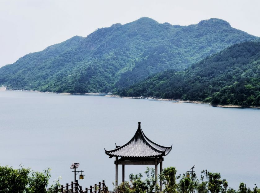 璧伴亶涓浗娌冲崡鑽ラ槼,璧伴亶娌冲崡