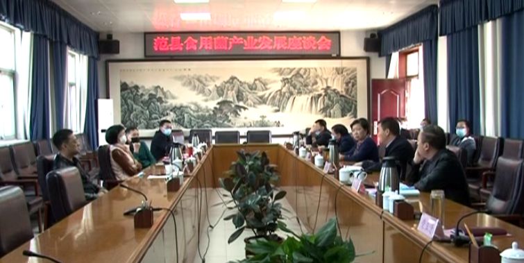 濮阳新闻2019年,濮阳新闻5月14日