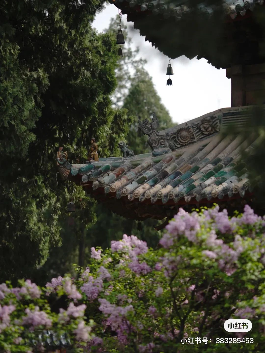 盐湖区中国死海,中国死海停业了吗