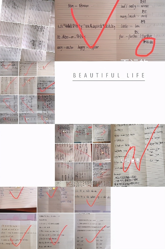 优渥的家庭教养,优沃教育