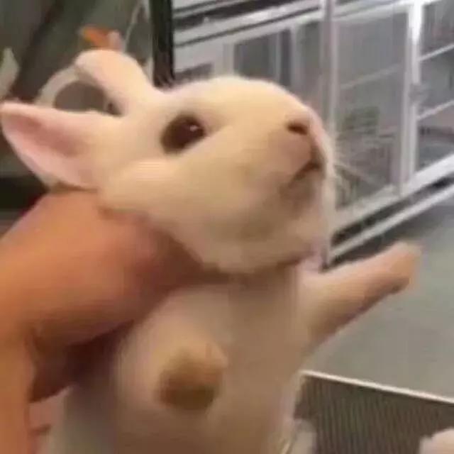 那些难用的雷品,十大难用的雷品排名