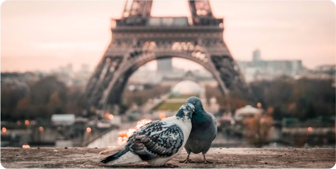 最全七夕攻略,七夕最全攻略