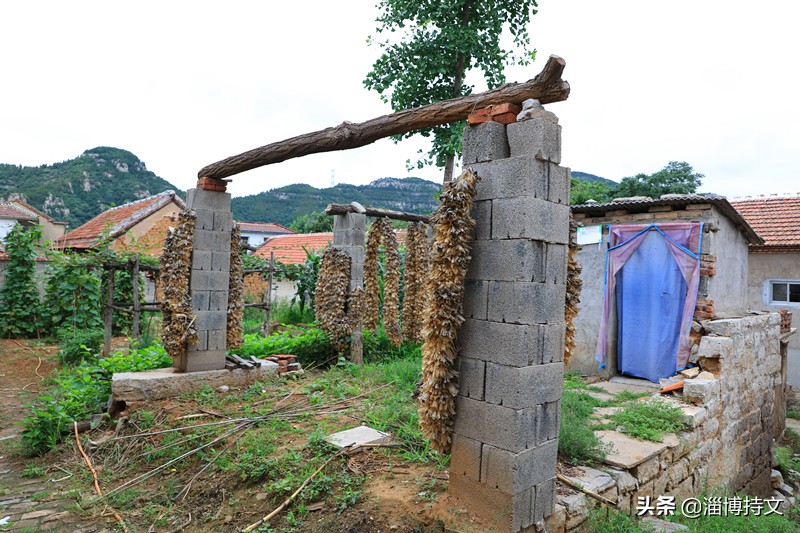 瑙︽懜涔℃剚鍙よ瘲鍥剧墖,瑙︽懜涔℃剚