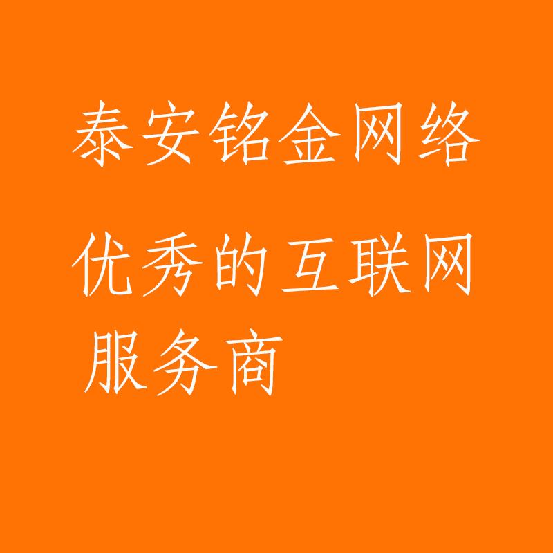 网站专业优化公司,网站优化专业公司