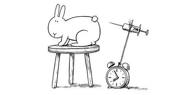 杀死兔子的方法,杀死兔子有什么后果