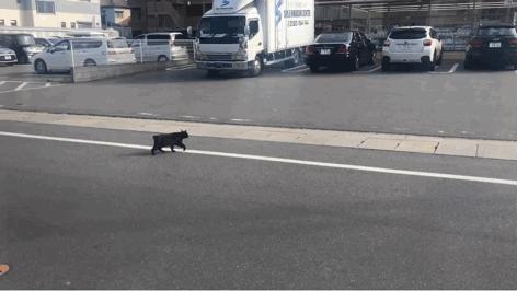 生活福冈,生活在福冈的十个理由