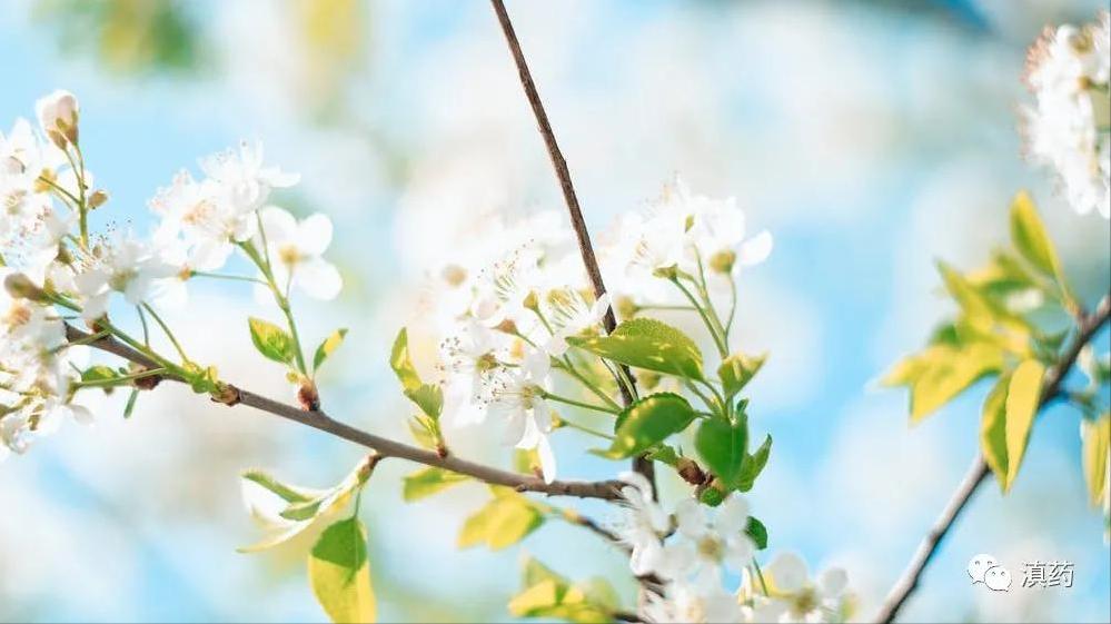 立春，春已归来，正是生发阳气之时