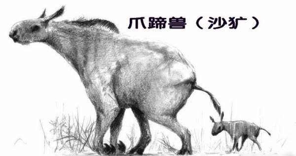 山海经都有哪些动物被证实存在,如果山海经的异兽真的存在