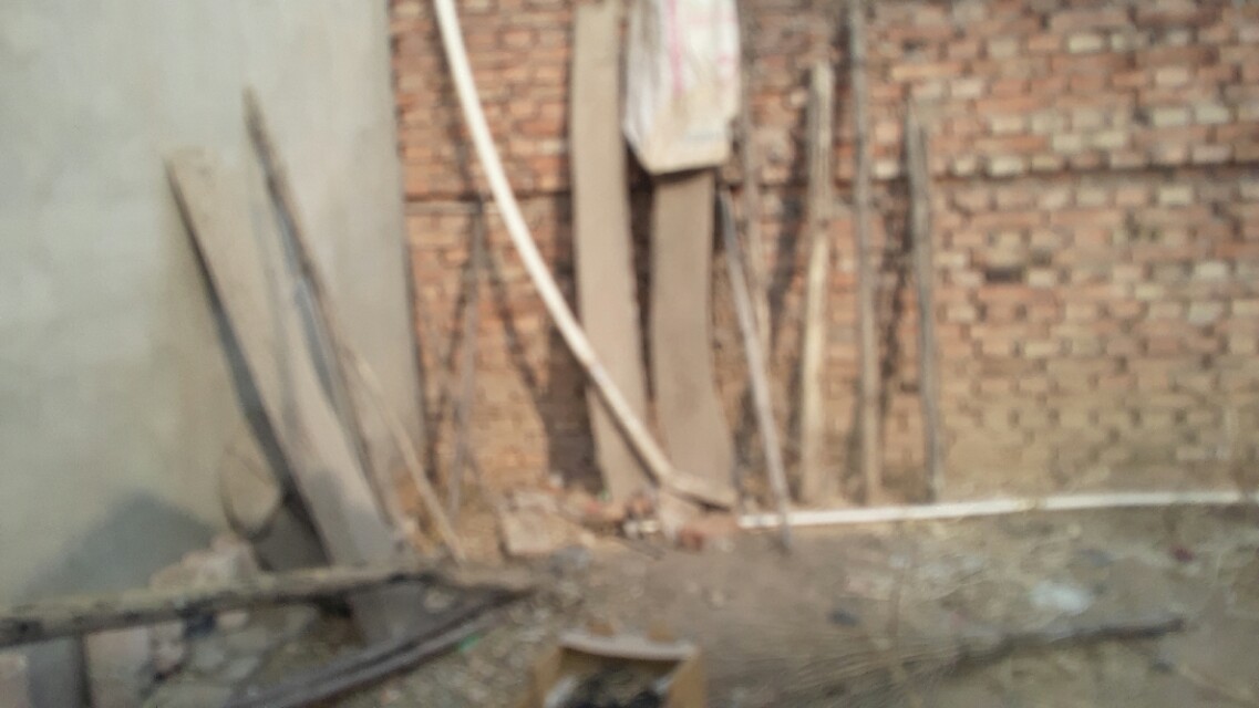 兔子假怀孕的表现,兔子假孕增长体重吗