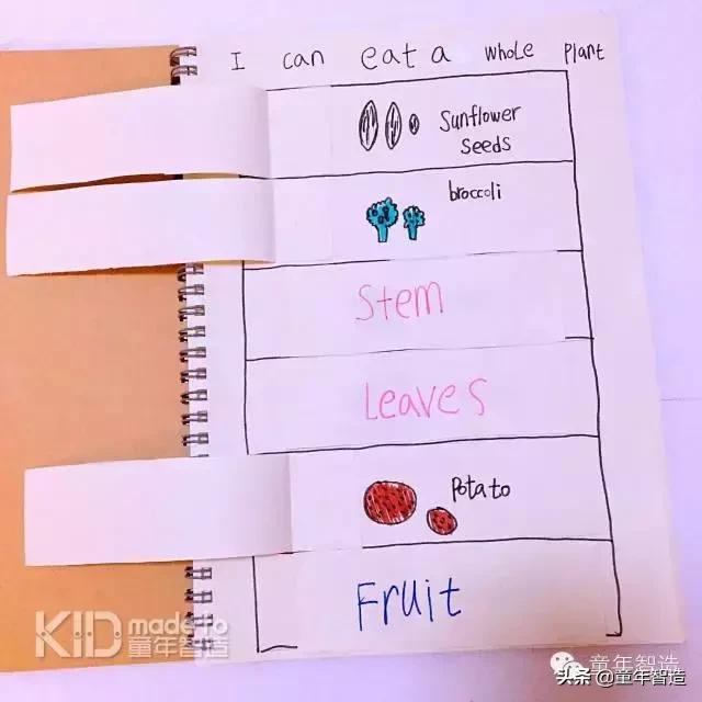 艾米粒的英语怎么写,艾米粒使用方法