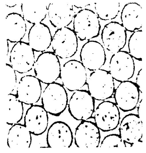 光滑柔软的聚酯纤维,聚酯纤维100%质地柔软