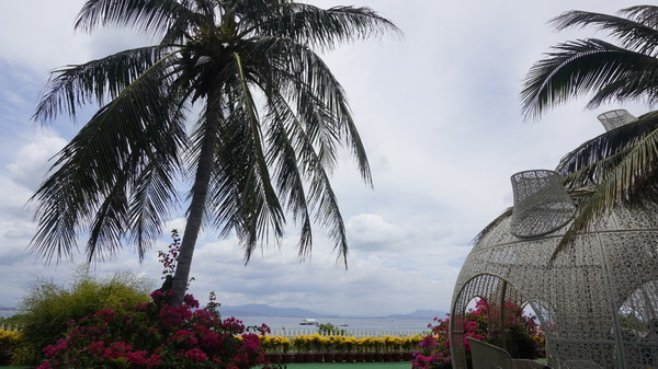 一场一个人说走就走的旅行,来一场旅行开启所有的美好