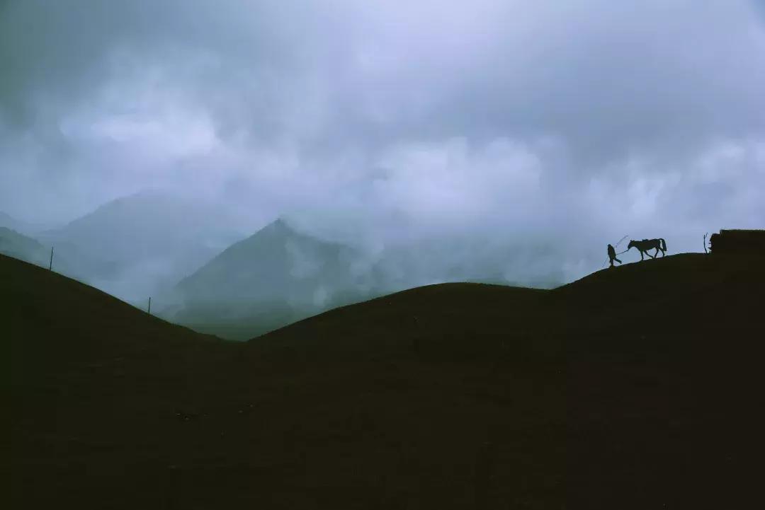 生死离别古文,苏轼写生死离别的诗词