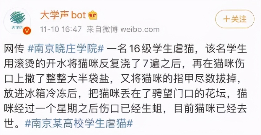 丢掉女朋友养了2年的猫,女朋友要求丢掉养了3年的猫